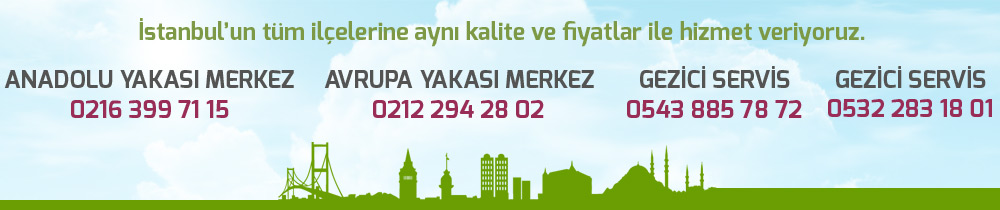 istanbul böcek ilaçlama